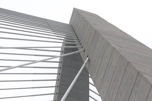 Photo of Photo of the cables at the top of the eastern tower