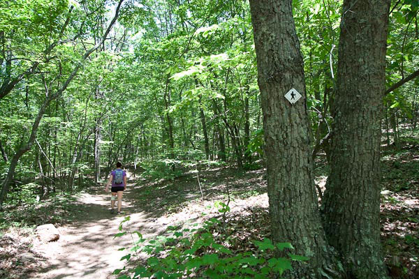 Photo of trail marker along Crowders Trail
