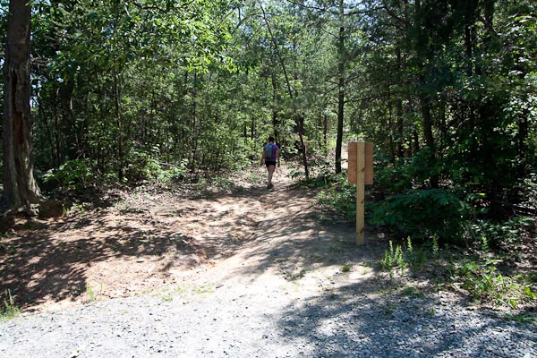 Photo of the Rocktop Trail after its junction with the Tower Trail