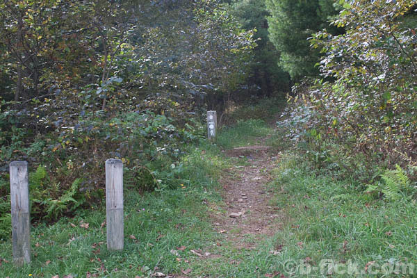 Photo of the Cedar Ridge Trailhead
