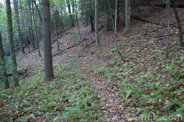 Photo of the Flat Top Ridge Trail