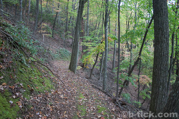 Photo of the Flat Top Ridge Trail in a steep slope