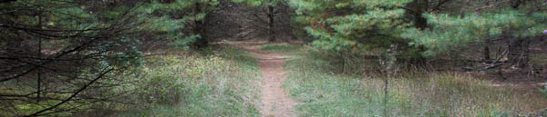 Photo of the upper portion of the trail