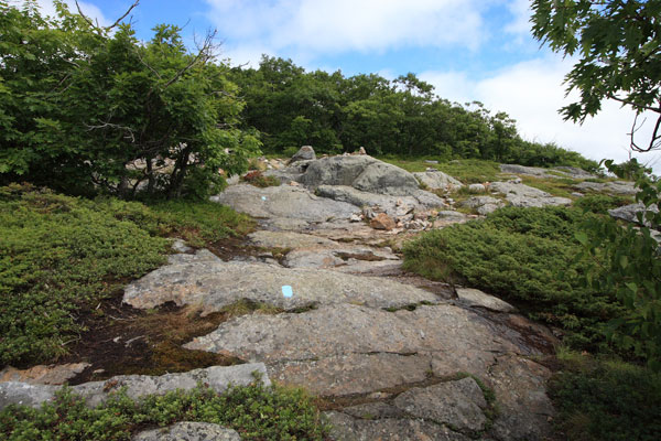 Photo of the blue-blazed trail winding up Mt. Battie