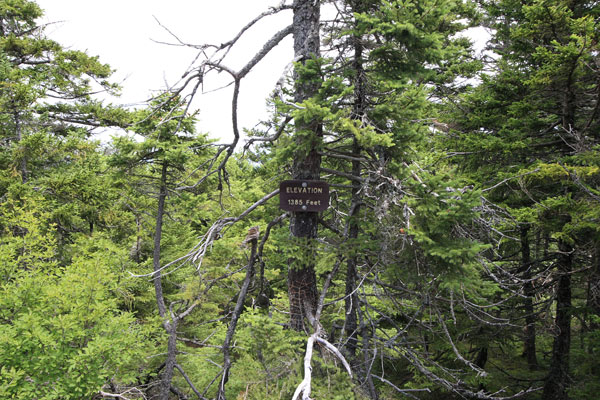Photo of the elevation marker at the Mt. Megunticook's summit