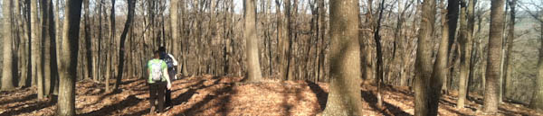 Photo of the trailhead