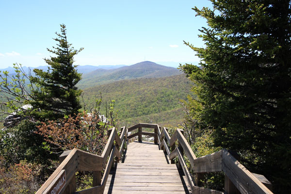 Photo of the boardwalk carrying hikers over the delicate terrain of Rough Ridge