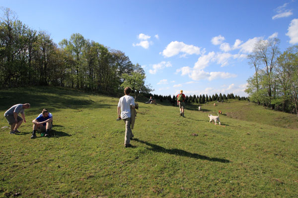 Photo of the first meadow