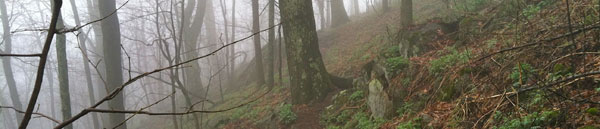 Photo of the steep slope and trail at the top of Three Ridges