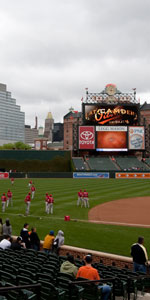 Photo of a skyline view