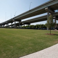 Photo of the primary greenspace