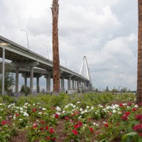 Photo of park flower bed