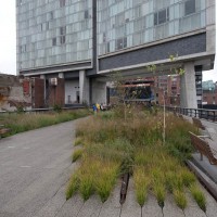 Photo of the walk as it transitions into grass
