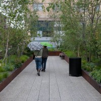 Photo of a concrete path on the High Line