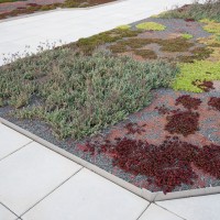 Photo of paver and edge detail