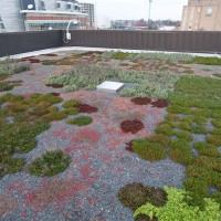 Photo of the establishment results