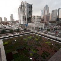 Photo of a lower roof looking out onto the city