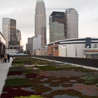 Photo of the green roof with the arena in the background