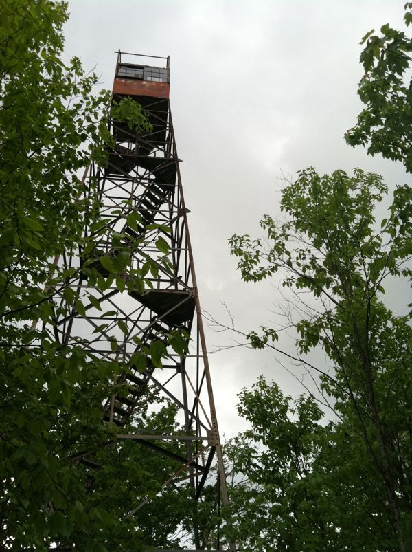 Photo of the Shuckstack Fire Tower