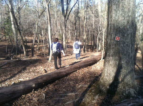 Photo of the trail with orange square blazes