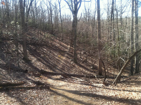 Photo of the many dips in the trail elevation