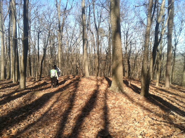 Photo of the summit area