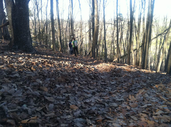 Photo of the leaf covered trail on the western slopes
