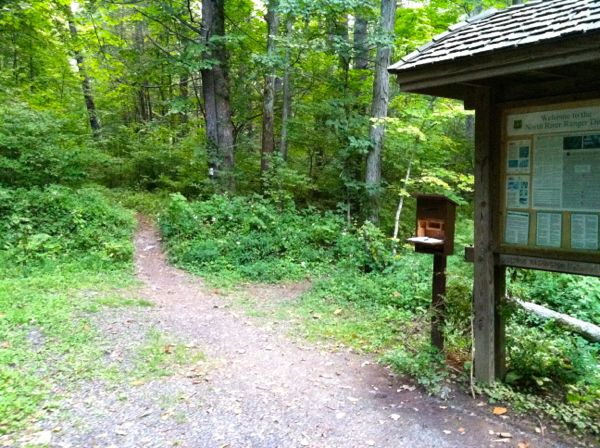 Photo of the Ramsey's Draft Wilderness trailhead at the parking lot
