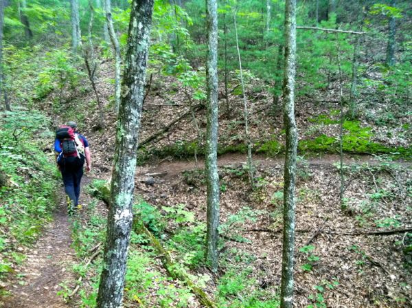 Photo of the Bridge Hollow Trail