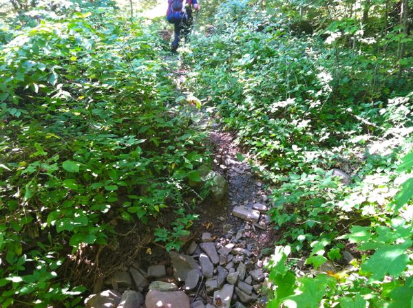 Photo of the lower portion of the Ramsey's Draft Trail