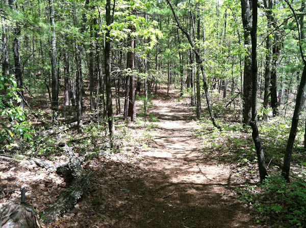 Photo of the Chestnut Knob Trail