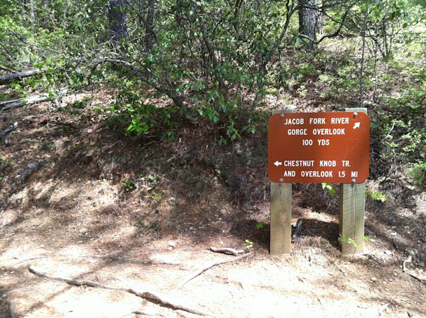 Photo of a sign at the lower trail junction