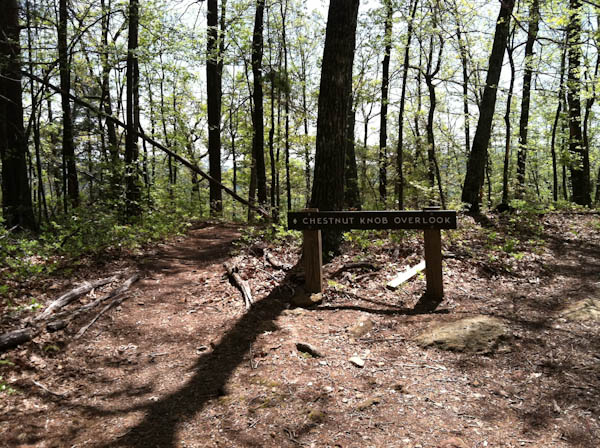 Photo of a sign on the Chestnut Knob Trail