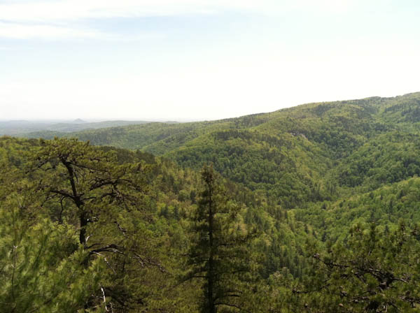 Photo of the view from the Chestnut Knob Overlook